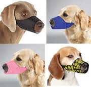 Dog Muzzles for Aggressive Dogs