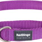 Red Dingo Plain Purple Martingale Dog Collars