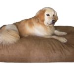 9 Best Large Orthopedic Dog Beds - Buyer's Guide