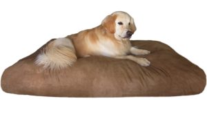 Large Orthopedic Dog Beds