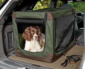 Best Travel Crate Orvis