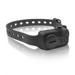 3 Best Dogtra Training Collars Product Reviews!
