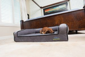 Buddyrest Memory Foam Dog Bed