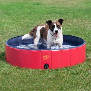 Frontpet best paddling pools for dogs