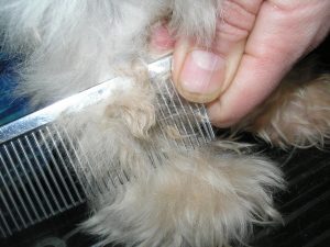 Best Dog Dematting Comb - Remove Mats from Dog Hair!