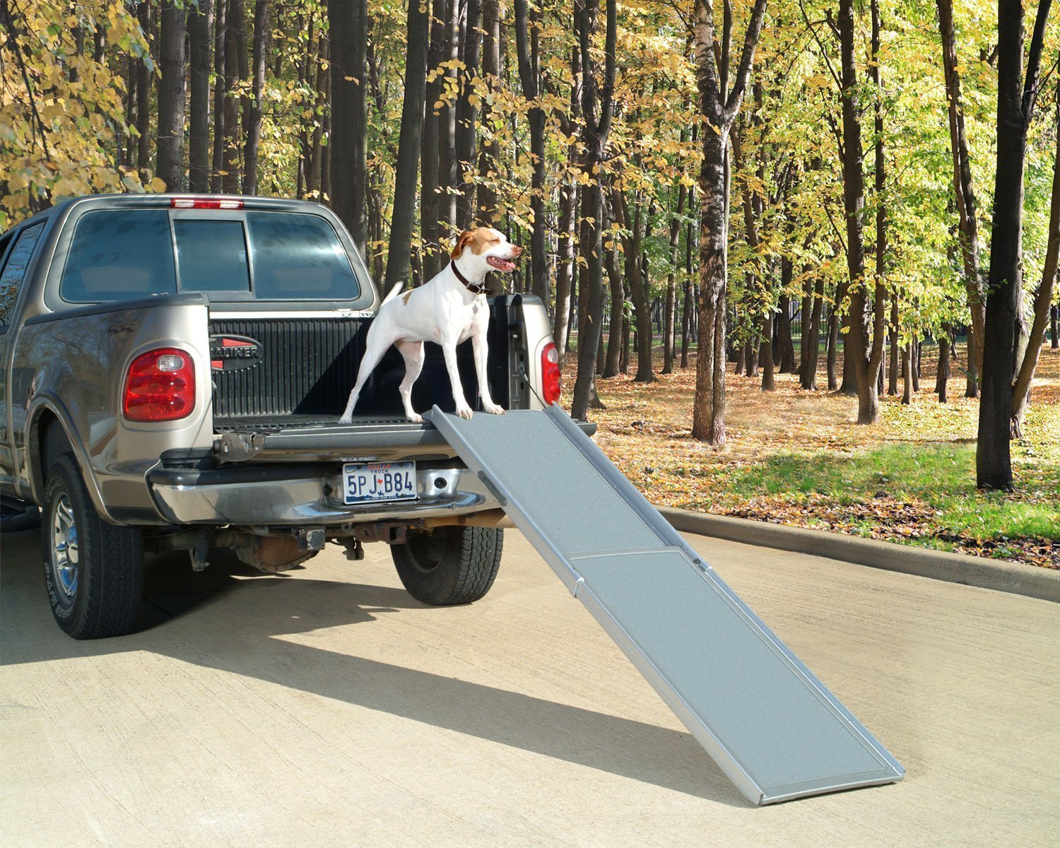 petsafe dog ramp