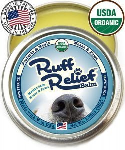 8 Best Dog Paw Balms â€“ Instant Protection For Pet's Paws