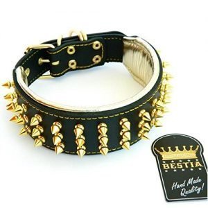 bestia leather and gold pitbull collars
