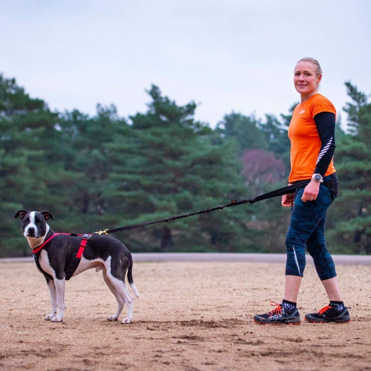 dog running harness