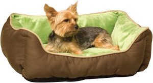 5 Best Dog Anxiety Beds - Buyer's Guide
