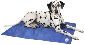 5 Best Dog Cooling Mats - Help your Doggie Beat the Heat