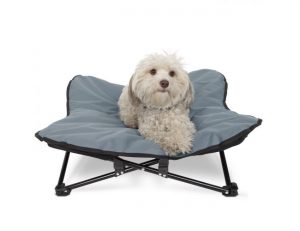 10 Best Portable Dog Travel Beds - Suitable for Camping