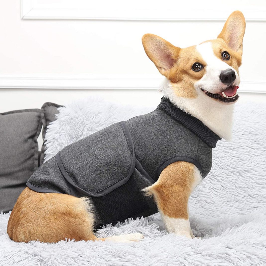 Top 3 Unique Dog Anxiety Vests Soothe Your Pup's Anxiety