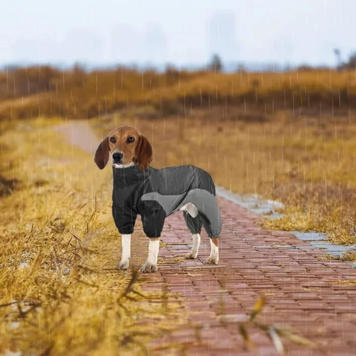 Waterproof Full Body Dog Coats