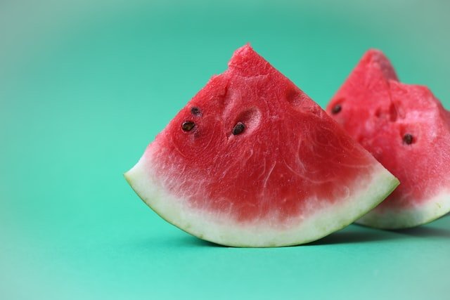 watermelon for dogs