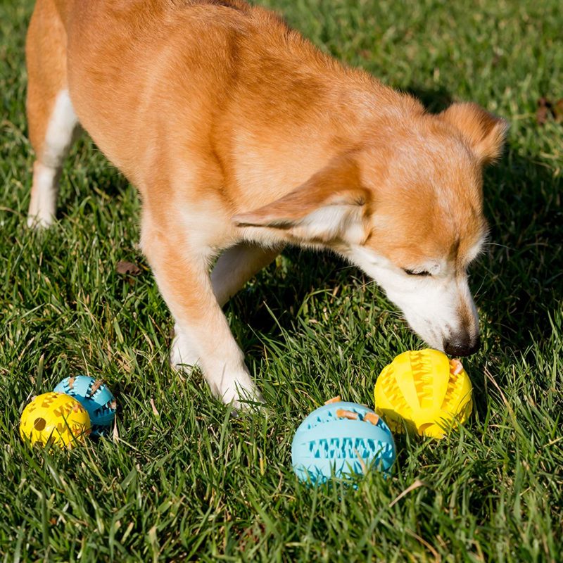 dog treat balls
