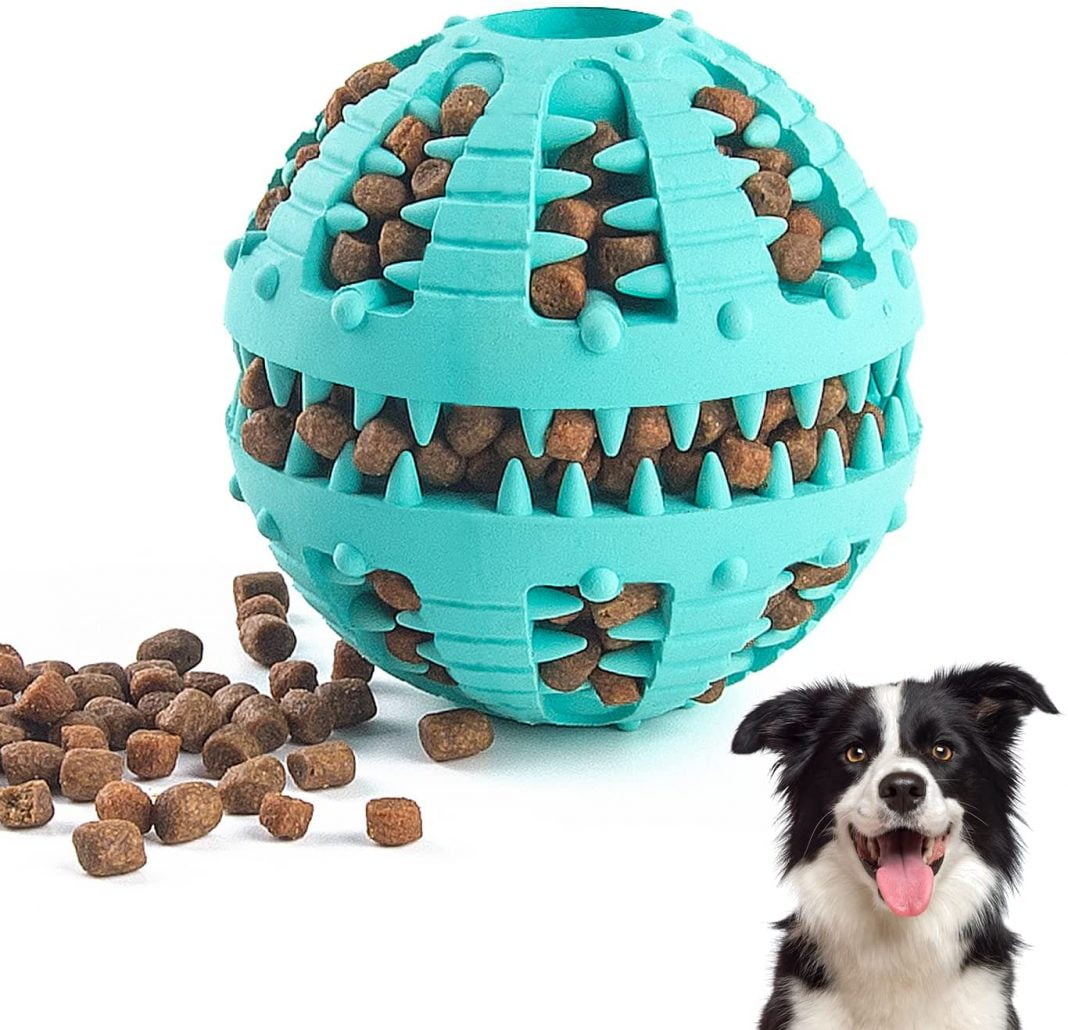 top-16-dog-treat-balls-uk-for-your-pet-s-well-being