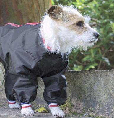 dog waterproof suits