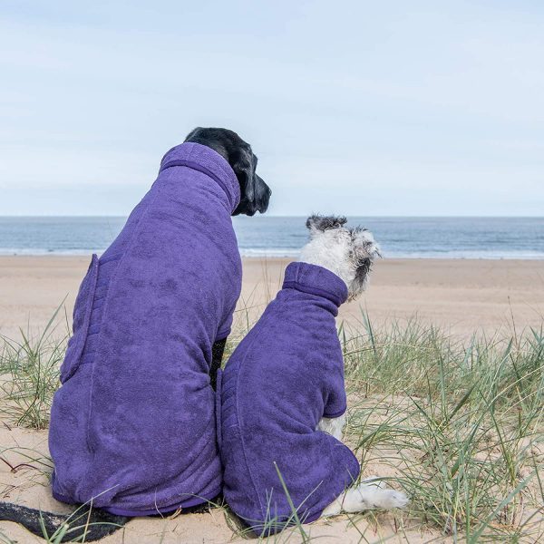 dog wetsuits