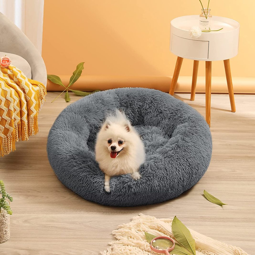 anti anxiety dog beds